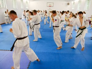 Read more about the article ￼V Open Kyokushin Camp