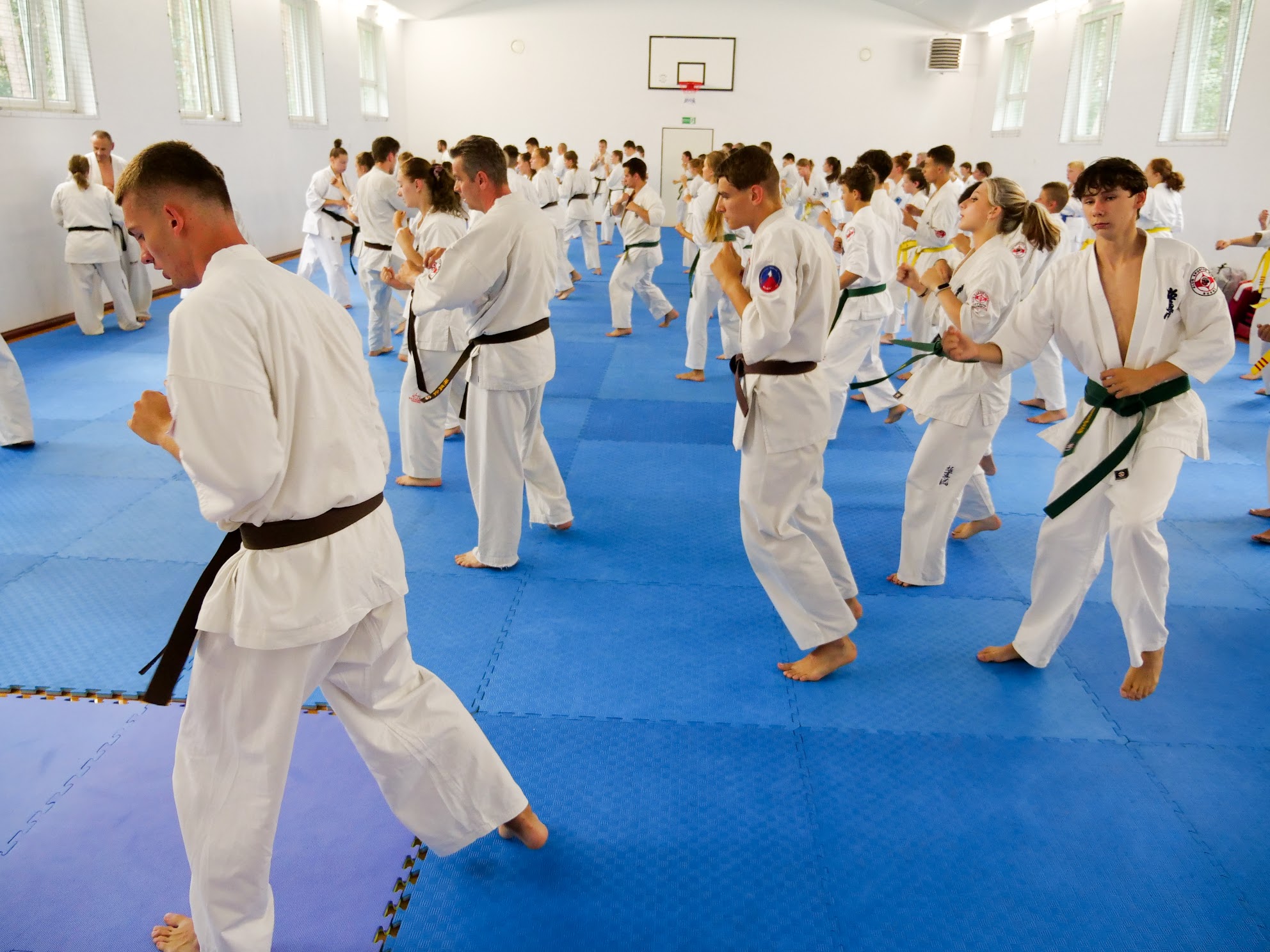 You are currently viewing ￼V Open Kyokushin Camp